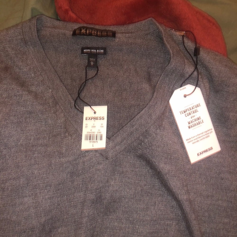 express v neck sweater